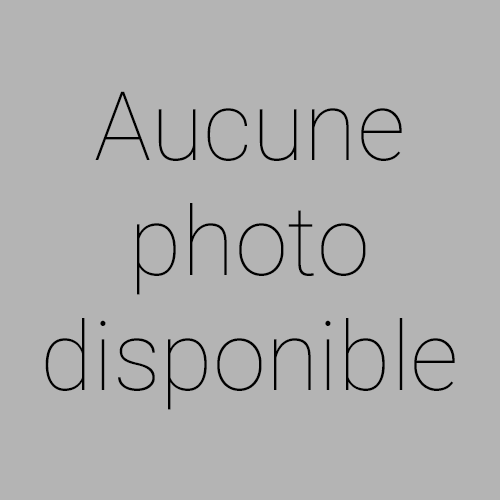 Renault MASTER II - FOURGON GRAND CONFORT L3H2 DCI 125cv FOURGON 4P BVM